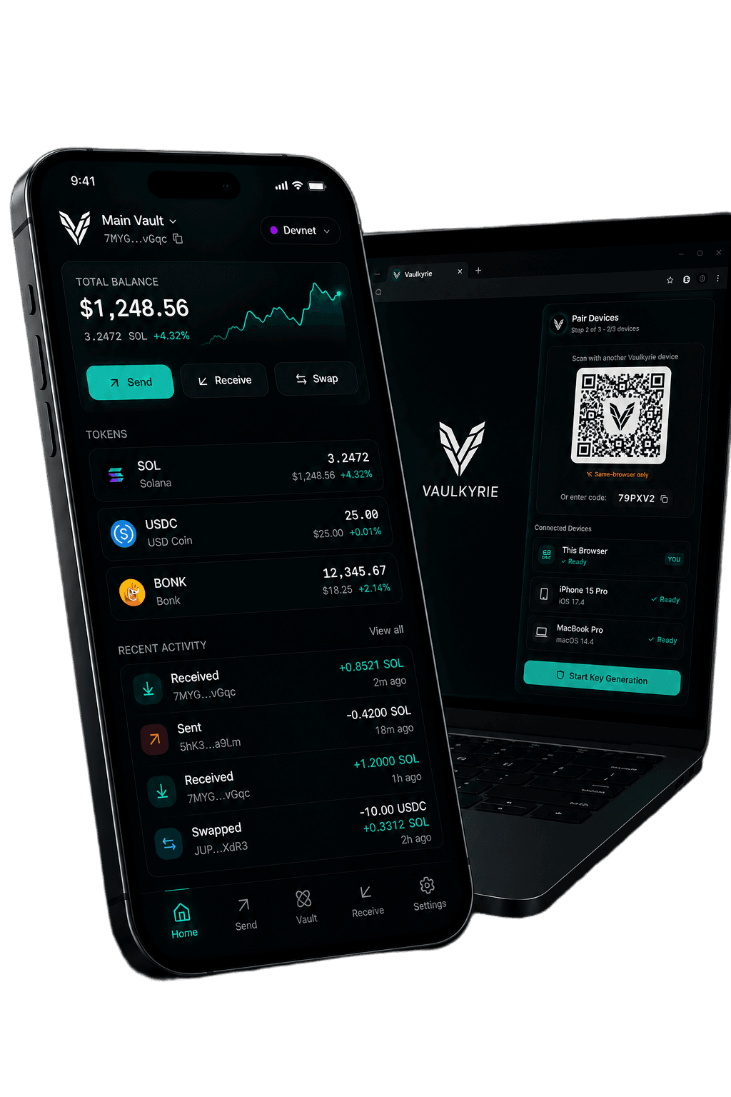 Vaulkyrie wallet interface